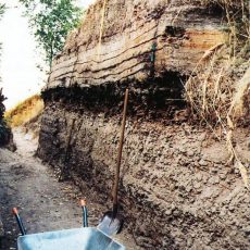 25 Jahre Fachbereich Geologie im Museum Cottbus