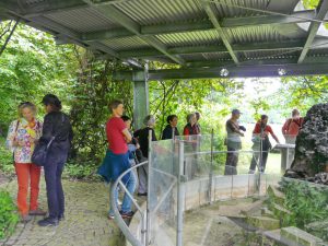 Führung der Künstlerinnen durch den Tertiärwald