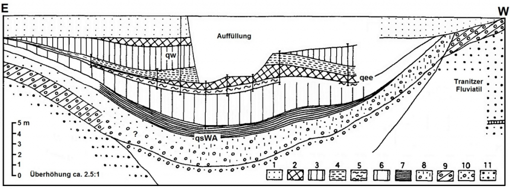 Geologische Skizze des Interglazialvorkommens von Klinge (ältere Dominialgrube) im heutigen Anschnitt (geol. Aufnahme: R. und U. Striegler 1985)