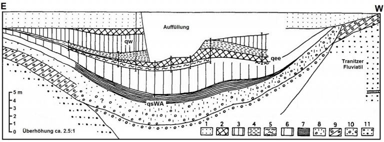 Die Eem-Grabung in Klinge – NVN e.V. Cottbus