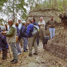 25 Jahre Naturwissenschaftlicher Verein der Niederlausitz e.V.