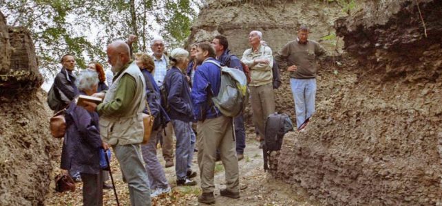 Die Fachgruppe Botanik / Paläobotanik erkundet den Eem-Aufschluss Klinge (2003)