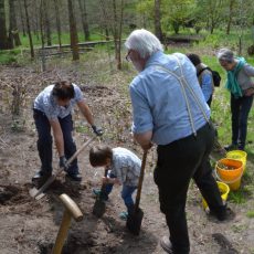 Tag des Baumes 2015