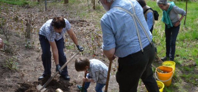 Tag des Baumes 2015