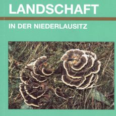 Natur und Landschaft in der Niederlausitz Heft 20