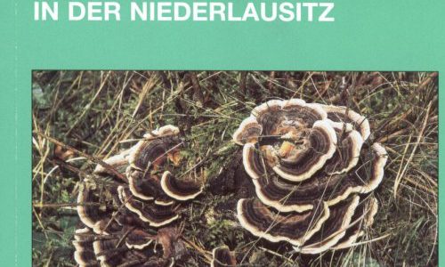 Natur und Landschaft in der Niederlausitz Heft 20