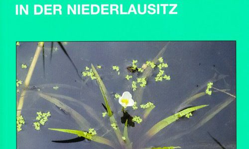 Natur und Landschaft in der Niederlausitz Heft 31