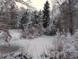 Kohlemoor im Winter