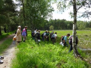 Botaniker besuchen des Dubringer Moor