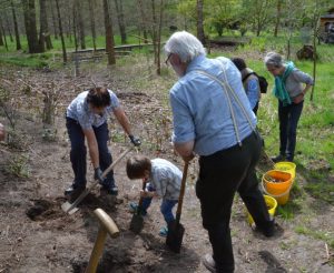 Tag des Baumes 2015