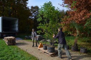 Arbeitseinsatz im Tertiärwald