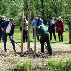 Pflanzaktion zum Tag des Baumes