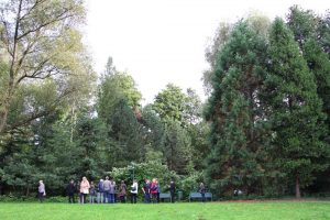 Tertiärwald, Bereich mit Mammutbäumen