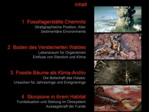 Vortrag "Ein 291 Millionen Jahre alter Boden: Einzigartiger Lebensraum und Archiv der Erdgeschichte"