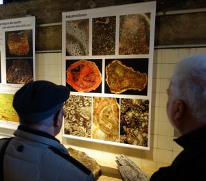 Sonderausstellung "Verkieseltes Holz" in Knappenrode