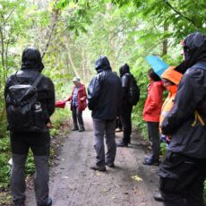 Tertiär-Spezialisten besuchen den Tertiärwald