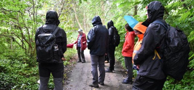 Tertiär-Spezialisten besuchen den Tertiärwald